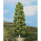 Végétation miniature : Heki 1985 - Bouleau miniature 27 cm