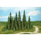 Végétation miniature : Heki 2180 - 30 sapins miniature 5 à 7 cm