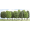 Végétation miniature : Lot de 15 arbres feuillus de 9 à 14 cm au 1/87 - Busch 06485 6485