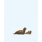 Animaux miniatures - 1 otarie et son bébé  au 1:87 HO - Preiser 29518