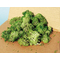 Végétation naturelle : Lichen gris / vert - mousse d'Islande - Heki 3217