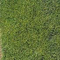Heki 1570 - Feuillage vert "artline"