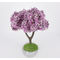 Amandier pour crèches provençales 15 cm - FR-ATB/60690