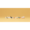 Oiseaux miniatures : Canards, oies, signes 1:87 - Preiser 14167
