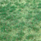 Heki 1843 - Herbes sauvages vertes de terrain marécageux 45 x 17 cm