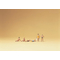 Vacanciers 1:160
