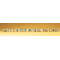 Preiser 79251 - 60 Passagers et passants peints 1:160