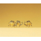Preiser 79711 - Chameaux miniatures 1:160