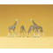 Preiser 79715 - Girafes 1:160