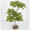 Bouleaux 29 cm - FR 29152