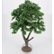 Platane 28 cm - FR 29125