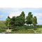 Végétation miniature : Heki 1991 - 15 arbres feuillus 10 - 18 cm