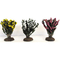 3 buissons fleuris 6 cm