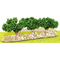 Végétation miniature : 1 rangée de vignes vertes miniatures