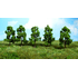 Végétation miniature : Heki 1933 - 5 arbres fruitiers 6 cm
