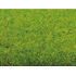 Tapis d'herbe printemps 300 x 100 cm - Noch 00020