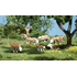 Vaches 1:43 - Woodland A2767