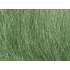 Champ d'herbes hautes vert moyen - Woodland FG174