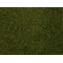 Végétation miniature : Flocage vert olive herbes sauvages 20 x 23 cm - Noch 07282