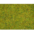 Végétation miniature : Herbes pré d'été - Noch 8151
