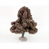 Châtaignier automne - arbre miniature naturel 18 cm - FR-ATB/57690