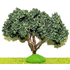 Olivier sans olives 12 cm pour crèches provençales - FR-ATB/68590