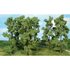 Heki 1760 - Assortiment de 6 arbres miniatures 18 cm slot car
