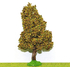 Chêne Automne miniature 14 cm tronc bois - décors pour crêches