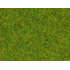 Végétation miniature : Herbe Vert Moyen 100 g - Noch 50210