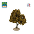 Platane automne - arbre miniature naturel 18 cm - FR-ATB/26790