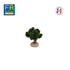 FR-ATB/42593P - 10 pieds de vignes vertes 4 cm