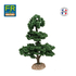 Arbre naturel tronc, bois très esthétique : cèdre - FR-AV29156
