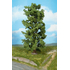 Végétation miniature : Heki 1742 - 1 arbre feuillu 30 cm