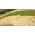 Végétation miniature : Heki 3115 - Roseaux miniatures