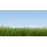 Végétation miniature : Herbes sauvages vert foncé, 6 mm - Noch 7094