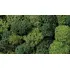 Végétation miniature : Lichen vert clair et foncé 75 g - Noch 8621 08621