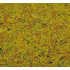 Noch 8310 - Herbe jaune de prairies 20 g