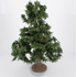 Arbre naturel tronc, bois très esthétique : cèdre - FR-AV29156