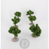 FR-ATB/42593P - 10 pieds de vignes vertes 4 cm