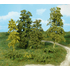 Heki 1670 - 15 arbres feuillus vert clair