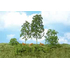 Heki 1671 - 15 arbres buissons vert-moyen
